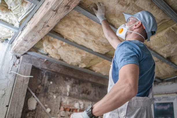Best Specialized Insulation Services in East Massapequa, NY